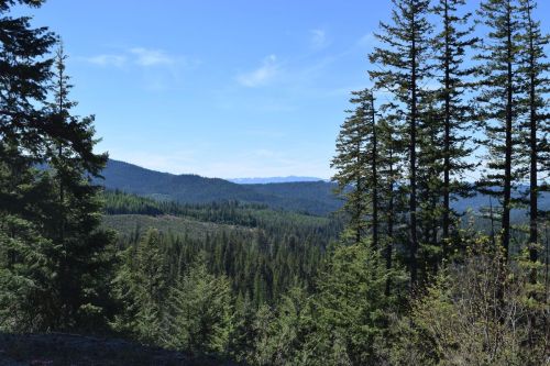 A scenic view of lush green forests and distant mountains under a clear blue sky.