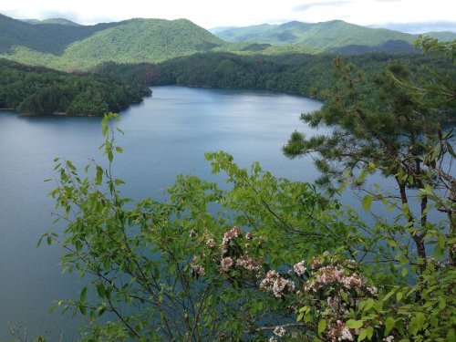 A serene lake surrounded by lush green mountains and trees, with a clear blue sky above.