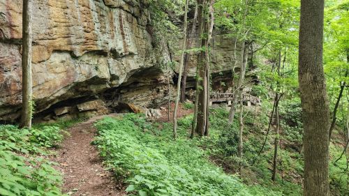 A forested trail leads to a rocky cliff, surrounded by lush greenery and tall trees.