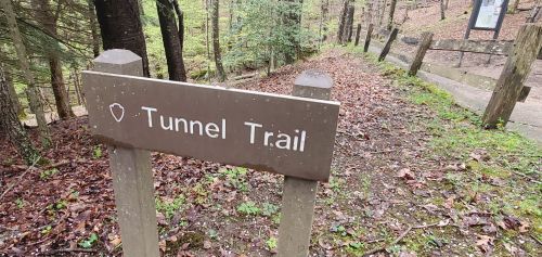 Sign for Tunnel Trail in a wooded area, surrounded by trees and fallen leaves.
