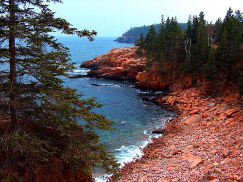 Rocky coastline with pine trees, calm blue water, and distant cliffs under a hazy sky.