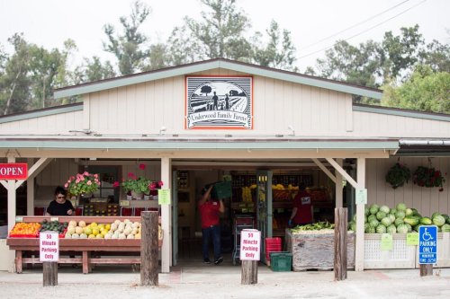 A farm stand with fresh produce, flowers, and a sign reading "Underwood Family Farms," surrounded by greenery.