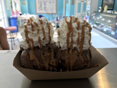 A dessert bowl with two scoops of chocolate ice cream topped with whipped cream and drizzled with caramel sauce.