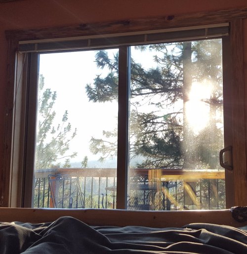 A cozy view from a window, showcasing trees and sunlight filtering through, with a hint of outdoor furniture visible.