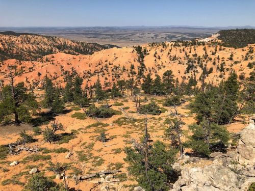 A panoramic view of orange-hued rock formations and green trees in a mountainous landscape under a clear blue sky.