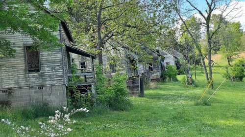 Abandoned wooden houses lined along a grassy path, surrounded by trees and overgrown vegetation.
