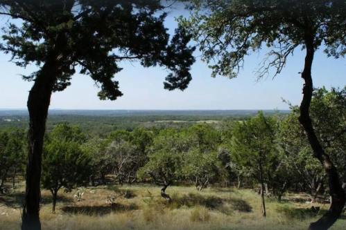 A scenic view of rolling hills and trees under a clear blue sky, showcasing a peaceful natural landscape.