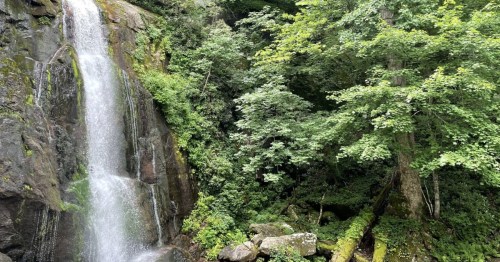 High Shoals Waterfall in North Carolina cascading over rocks with lush greenery surrounding