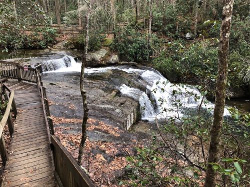 A wooden walkway beside a rocky stream with a small waterfall, surrounded by lush greenery and trees.
