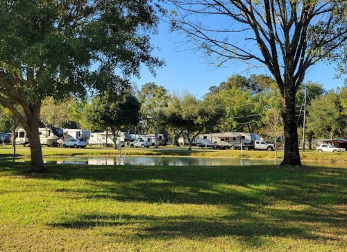 A serene campsite with RVs lined up near a pond, surrounded by trees and clear blue skies.