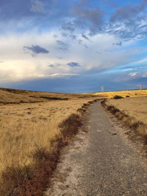 A gravel path winds through a golden field under a blue sky with scattered clouds.