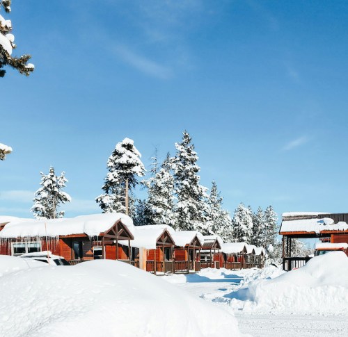 Snow-covered cabins lined up under a clear blue sky, surrounded by tall evergreen trees.