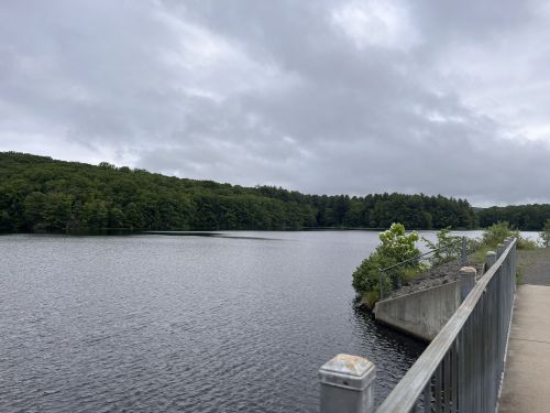 A calm lake surrounded by green trees under a cloudy sky, with a concrete walkway and railing in the foreground.