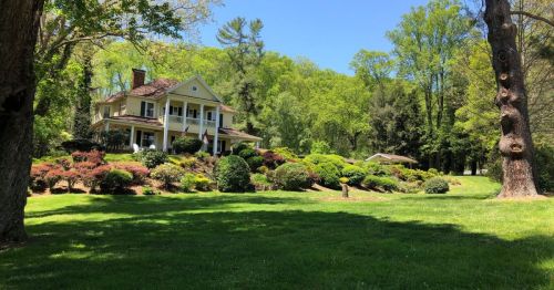 A charming yellow house surrounded by lush greenery and colorful shrubs on a sunny day.