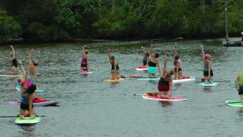 A group of people practicing yoga on paddleboards in a calm water setting surrounded by greenery.