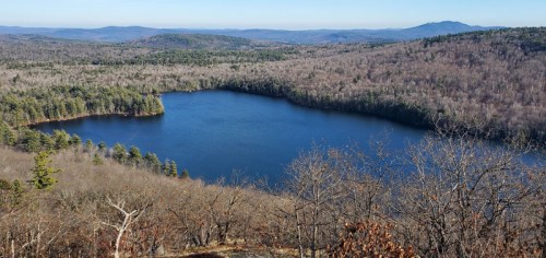 A serene view of a blue lake surrounded by bare trees and rolling hills under a clear sky.