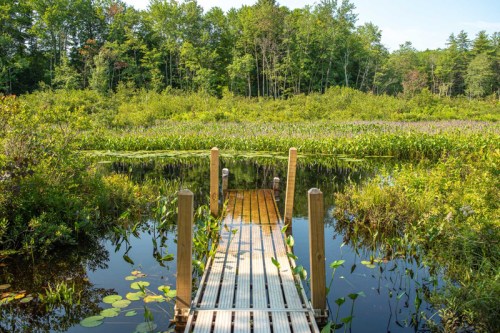 A wooden walkway leads into a lush green wetland, surrounded by trees and water lilies under a clear blue sky.