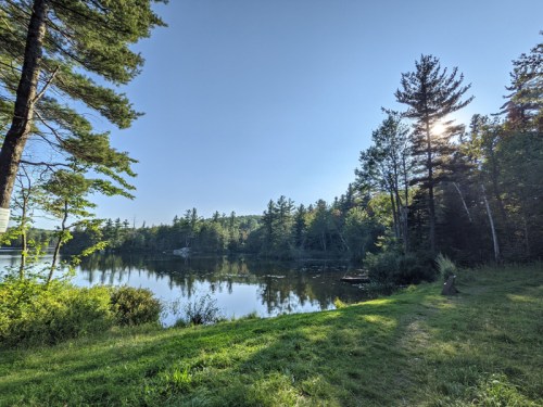 A serene lakeside view with trees, reflecting water, and a clear blue sky. Sunlight peeks through the foliage.