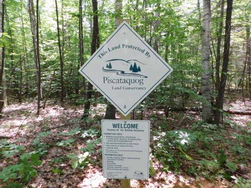 Sign in a forest stating "This Land Protected By Piscataquog Land Conservancy" with rules and welcome information below.