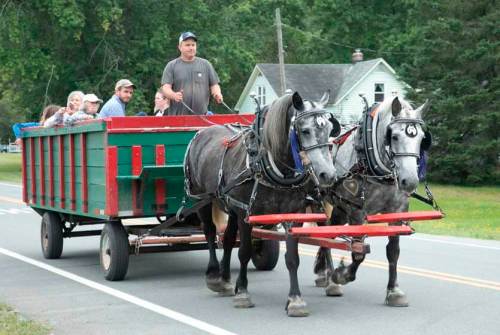 A man drives a horse-drawn wagon with passengers along a rural road, surrounded by greenery and a house in the background.