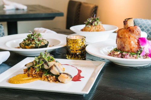 A beautifully arranged table with gourmet dishes, including grilled fish, risotto, and a roasted meat dish, garnished with herbs.