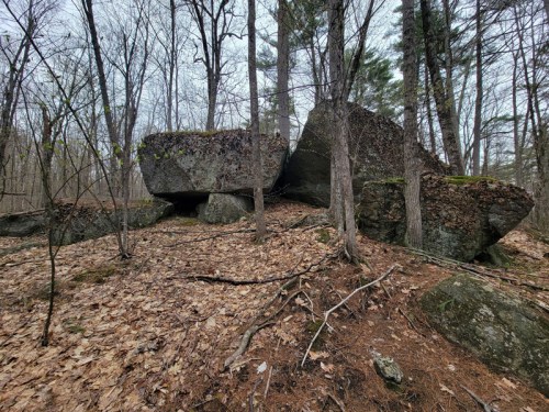 Large, moss-covered boulders surrounded by trees and fallen leaves in a forested area.