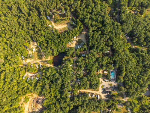 Aerial view of a lush green forest with winding paths, campsites, and a small pond surrounded by trees.