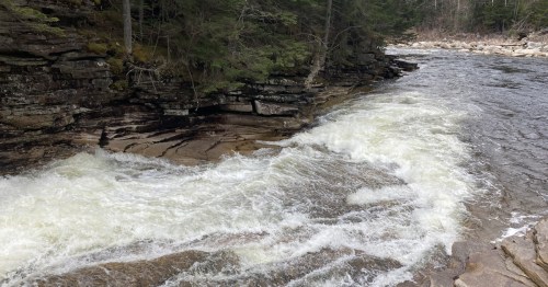 A rushing river flows over rocky banks, surrounded by trees and natural scenery.