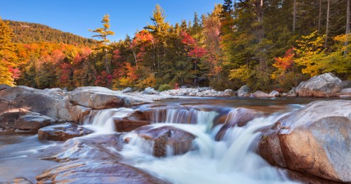 A serene river flows over smooth rocks, surrounded by vibrant autumn foliage and tall trees under a clear blue sky.