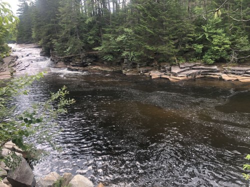 A serene river flows through a forested area, surrounded by lush green trees and rocky banks.