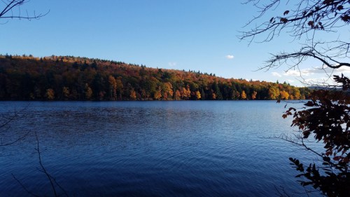 A serene lake surrounded by trees displaying vibrant autumn colors under a clear blue sky.
