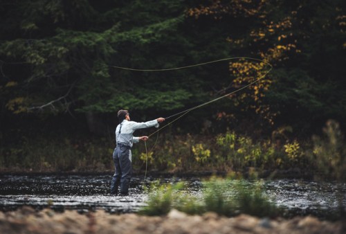 A person fly fishing in a river surrounded by trees and autumn foliage.