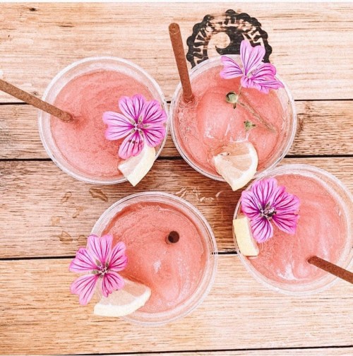 Four refreshing pink cocktails garnished with flowers and lemon slices, arranged on a wooden table.