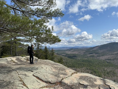 A person stands on a rocky ledge with a dog, overlooking a lush green valley and distant mountains under a cloudy sky.