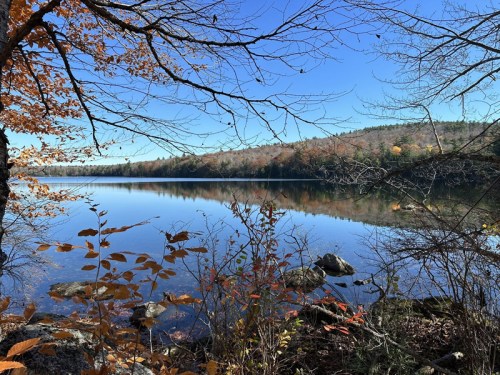 A serene lake surrounded by autumn foliage and trees, reflecting a clear blue sky and distant hills.