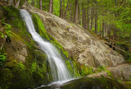 A serene waterfall cascades over moss-covered rocks in a lush green forest.