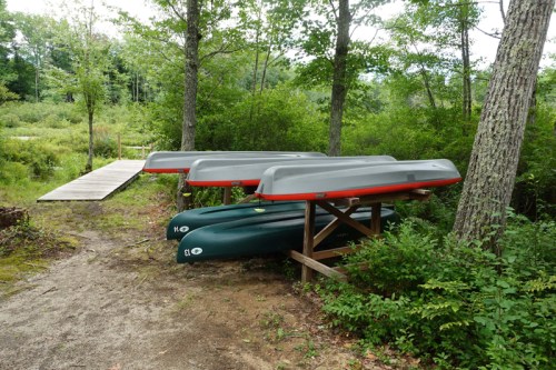 Four canoes on a rack beside a wooded path, with a wooden dock visible in the background.