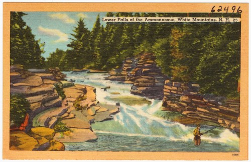 A scenic view of Lower Falls in the Ammonoosuc River, surrounded by lush trees and rocky formations.