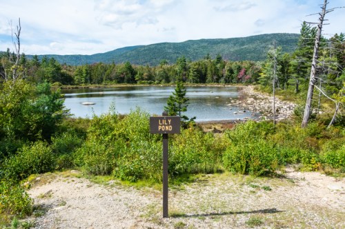A serene view of Lily Pond surrounded by greenery and mountains under a partly cloudy sky.