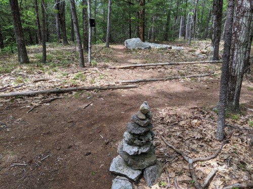 A stacked stone cairn marks a forest trail surrounded by trees and a large rock in the background.