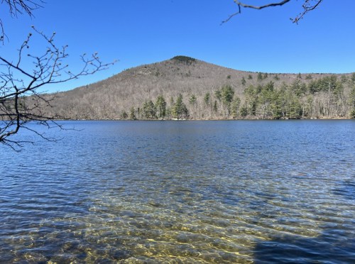 A serene lake with clear water, surrounded by trees and a mountain under a bright blue sky.