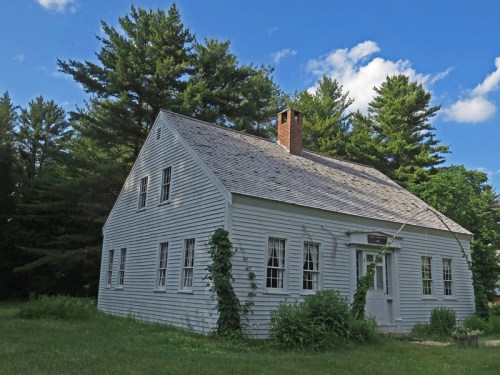 A quaint, gray house surrounded by tall green trees and blue skies, with vines climbing its exterior.