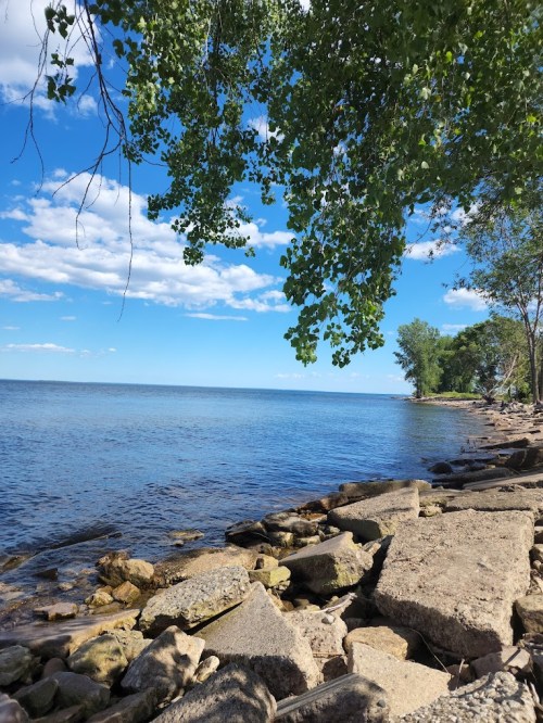 A serene lakeside view with clear blue water, rocky shore, and green trees under a bright sky with scattered clouds.