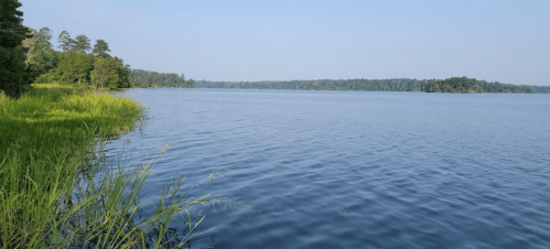 A serene lake surrounded by lush greenery and trees under a clear blue sky. Gentle ripples on the water's surface.