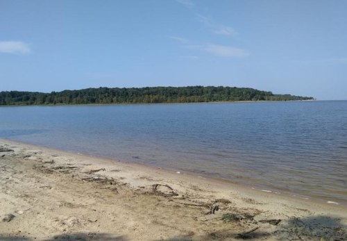 A serene beach scene with calm water, sandy shore, and a green island in the distance under a clear blue sky.