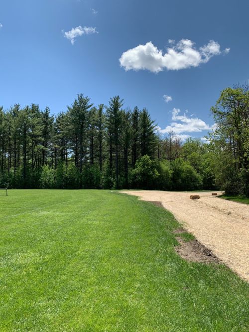 A sunny day in a park with green grass, a gravel path, and tall trees under a blue sky with fluffy clouds.