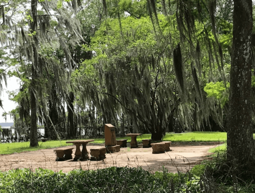 A serene outdoor space with stone benches under a large tree draped in Spanish moss.