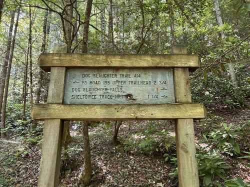 Wooden trail sign in a forest, indicating directions to Dog Slaughter Trail, Dog Slaughter Falls, and Sheltowee Trace NRT.