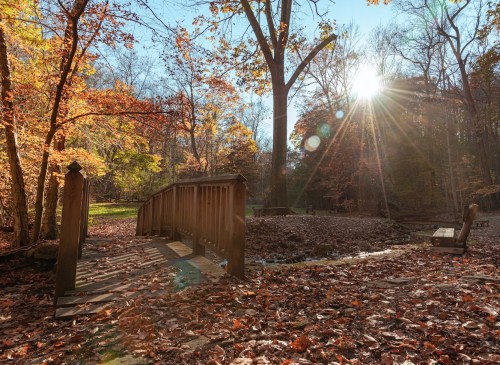 A wooden bridge in a colorful autumn forest, with sunlight streaming through the trees and fallen leaves on the ground.