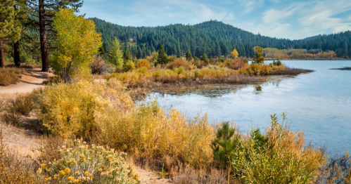 A serene lakeside scene with autumn foliage, surrounded by trees and mountains under a clear blue sky.
